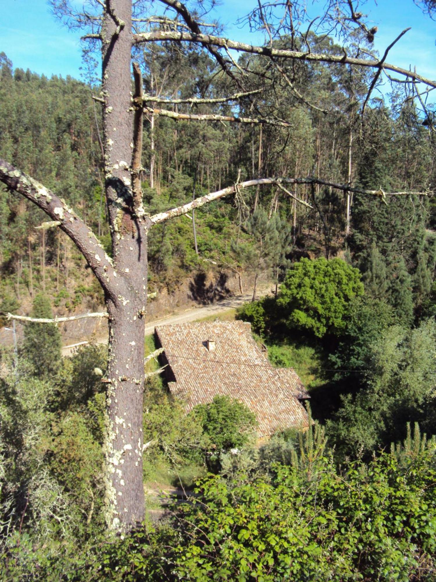 Parque Tematico Vale De Mouro Villa Buitenkant foto